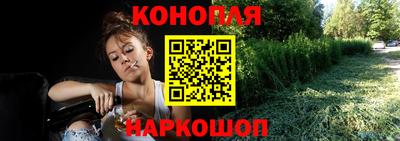 прущие грибы Абинск