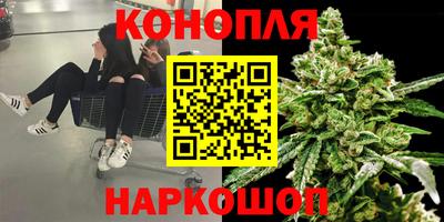 прущие грибы Абинск